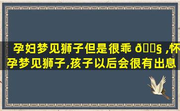 孕妇梦见狮子但是很乖 🐧 ,怀孕梦见狮子,孩子以后会很有出息吗